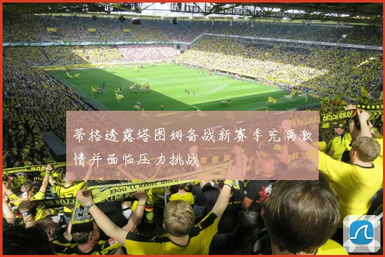 蒂格透露塔图姆备战新赛季充满激情并面临压力挑战