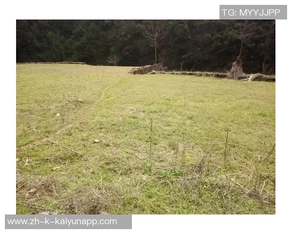 艾弗森回忆童年穿着风格独特自学成才的成长经历分享 艾弗森回忆童年穿着风格独特自学成才的成长经历分享